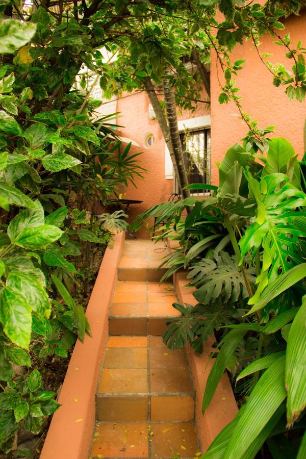 Raiz Hostel Medellin Luaran gambar